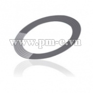 GIOĂNG CHÌ CORRUGATED GRAPHITE GASKET KLINGER 104G